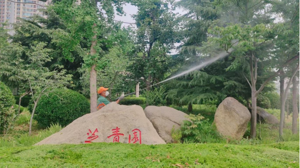 三羊财务 守护绿意！烟台市芝罘区园林中心织密病虫害防治“安全网”